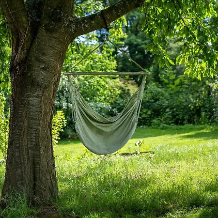 Le Temps De Livresse Namur