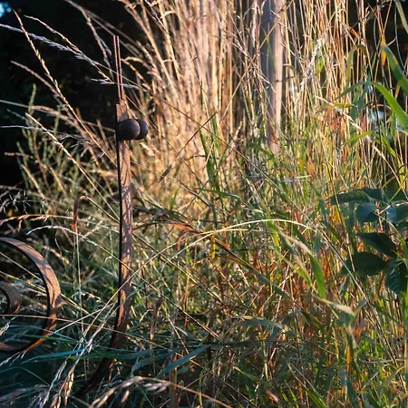 Le Temps De Livresse *