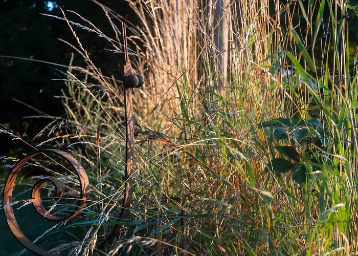 Le Temps De Livresse *